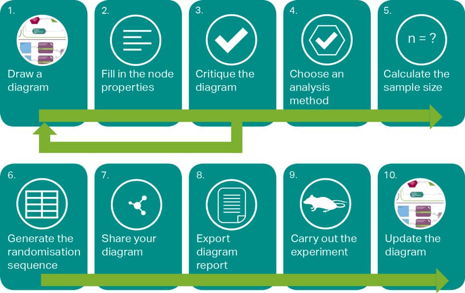  NC3R - The experimental design assistant (EDA) workflow. Percie du Sert N. et al. 2017.