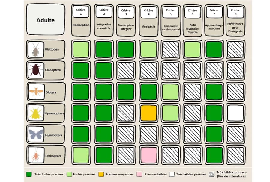  Sajedeh Sarlak. Version adapte du tableau 11 de Gibbons et al 2022. Blattodea (blattes, termites), Coleoptera (coloptres), Diptera (mouches, moustiques), Hymenoptera (abeilles, fourmis, gupes), Lepidoptera (papillons, papillons de nuit), Orthoptera (grillons, sauterelles)