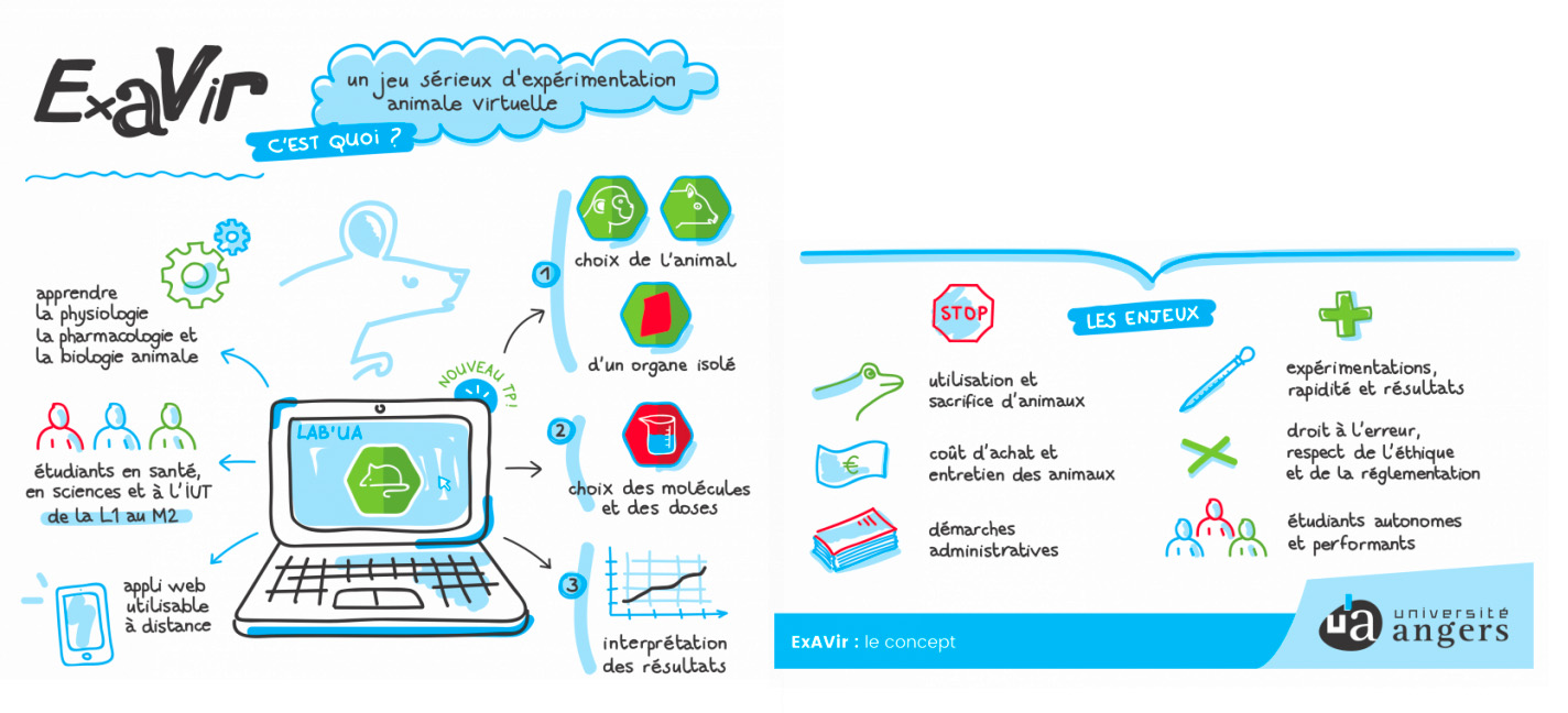  Universit Angers  ExAVir Le concept